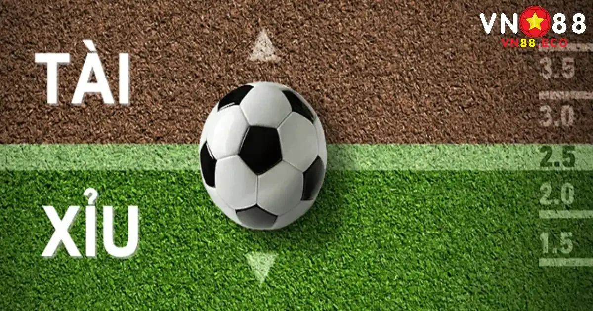 Tránh đặt cược theo cảm tính cá nhân